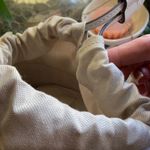 Kate Spade RARE!!Authentic Straw/cotton/leather bucket drawstring Crosby Photo 13