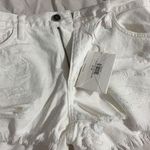 KanCan USA Kancan Shorts Photo 0