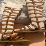 Wild Pair NIB  9 Brown tall gladiator sandals Photo 1