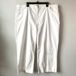 Eileen Fisher  Organic Cotton‎ Denim Wide Leg Jeans White 3X Photo 2