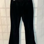 The Limited  Black Solid Mid-Rise Velvet Cassidy Fit Bootcut Dress Pants Size 0 Photo 0