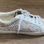Vintage Havana  Low-Top Sneakers Photo 1