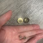 Betsey Johnson Daisy Earrings Photo 1