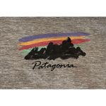 Patagonia EUC Capilene Cool Daily Graphic Tee Shirt, Sz. M Photo 4