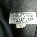 Cricket Lane Darker Gray Business Skirt Size 16 Photo 4