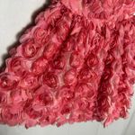 Dress the Population  Pink Sasha Blush 3D Tulle Rose Fit & Flare Mini Dress XS Photo 5