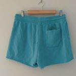 ATM Anthony Thomas Melillo Terry Cloth Sweat Shorts Sz XL Photo 3