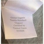 Everlane NEW The Organic Cotton V-Neck in Heathered Gray Photo 8