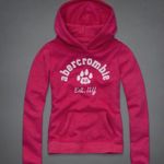 Abercrombie & Fitch Abercrombie VINTAGE Pink Pullover Hoodie Sweatshirt Photo 0