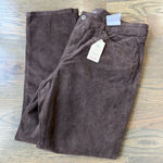 st. john's bay  Women's Corduroy Pants in Rich Brown size 16P Photo 0
