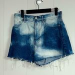 PacSun Ultra High rise Vintage Short Button Fly Bleached Denim Size 27 Photo 0