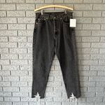 NWT Etica Alex Ripped Ankle Skinny Jeans Smokey Mountain 28 High Rise Button Fly Black Photo 4