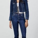 ZARA NWT  The Slim Full Length High Waist Button Fly Terrain Blue Denim Jeans Photo 2