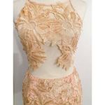 Revolve Strategic Illusion Dress Cream Lace Appliqué Sexy Club Party Night Out Mini Med Photo 7
