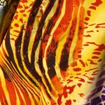 Riviera Sun Colorft Swim Cover Up Caftan Sz Free Plus Green Photo 6