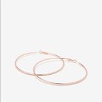 EXPRESS ✨ Large Metal Hoop Earrings✨ Photo 1