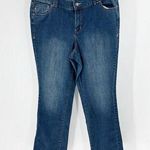 Lane Bryant slim straight jean casual comfortable work on trend size 20 average Photo 0