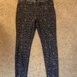 Hue Jeggings Photo 0