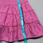 American Eagle  Outfitters Pink Smocked Skater Mini Skirt Photo 5