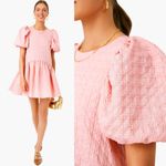 English Factory NEW  Dress‎ Pink Penelope Puff Sleeve Drop Waist Mini Dress Sz XS Photo 5