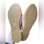 Everlane  The Day Crossover Sandal in Pink size 8 Photo 5