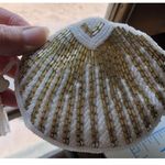 Amanda Smith Rare Vintage Clutch Evening Bag Coin Purse Beaded White Gold Zipper Photo 9