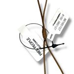 Free People  Wasted Belly Chain in Green NWT Beach Bohemian Summer Photo 5