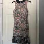 LC Lauren Conrad Lauren Conrad Peter Pan collar shift dress Photo 2