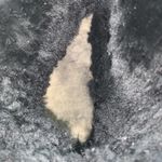 UGG Australia Black Bailey Button Triplet 1873 Sheepskin Boot Women Size 7 Photo 12