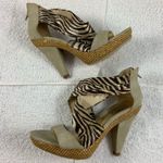 Bucco Saba 7 zebra crema stiletto wedge Photo 2