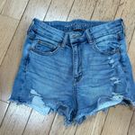 American Eagle Outfitters Shorts Photo 0