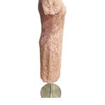 Tadashi Shoji  - High Neck Lace Knee Length Dress  Size 8 Photo 5