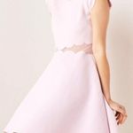 Ted Baker 💕💕 Omarria Mesh Scallop Skater Dress Photo 7