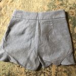 ZARA Blue Shorts Photo 1