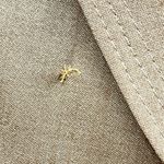 Classiques Entier  Nordstrom‎ Wool Lightweight LengthTrench Coat Dress Tan Size 6 Photo 2