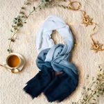 Cushnie | Grey Horizon Ombre Scarf Photo 1