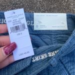 American Eagle Outfitters Corduroy Skirt Photo 2