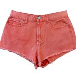 Urban Outfitters BDG Shorts Girlfriend High Rise Orange Cutoffs Size 30 Photo 0