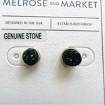 Melrose and Market  GENUINE STONE Gold Tone Studded Earrings - NWT Photo 1