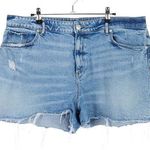 Loft Cut Off Medium Wash Jeans Short Size 33 Photo 0