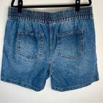 Terra & Sky  Ahead Denim Shorts Elastic Waist High Rise Pull On Photo 1
