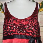 Lane Bryant 20W Deep Red & Black Sleeveless Blouse Sequin Whimsy Goth Fairy Core Photo 1