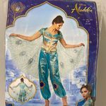 Princess Jasmine Costume Photo 0