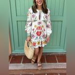 Farm Rio  Off-White Floral Insects Mini Dress XL Photo 2