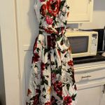Dolce & Gabbana  floral Poplin fit & flair dress NWT Photo 0