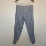 Splendid  Bayside Active Racer Stripe Jogger Small Photo 7