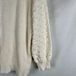 Cynthia Steffe Cece Cream 3D Polka Dot Long Sleeve Sweater 3X Photo 1
