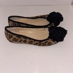 Enzo Angiolini  Women's Cheetah Print‎ Flats Size 8.5 Black Bow Canvas Classic Photo 4