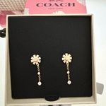 Coach  Daisy Drop Earrings Photo 5