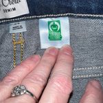 J.Crew Awesome Button Fly Fair Trade Slim Fit Jeans! Photo 5